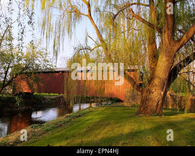 A beautiful willow tree with a swing stands beside the Lime Valley Covered Bridge, also known as Strasburg Bridge, in Lancaster Stock Photo