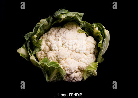 Healthy Organic Cauliflower isolated on black background Stock Photo
