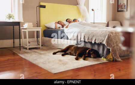Indoor shot of dog lying on floor in bedroom. Young couple sleeping comfortably on bed. Stock Photo