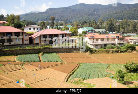 View over the town of Nuwara Eliya, Central Province, Sri Lanka farmland in foreground Stock Photo