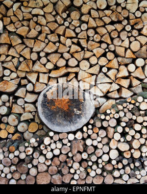 Woodpile of air dried, homegrown, hardwood firewood, North Wales, UK; naturally formed heart shape on damp end of chopping block. Stock Photo