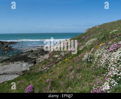 View Cable Bay Isle of Anglesey North Wales UK from Coastal Path on lovely calm May day weather Blue sky Stock Photo