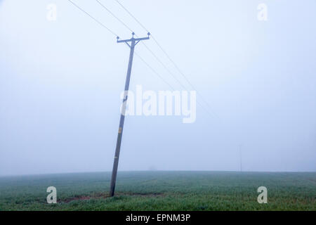 Power lines on a leaning utility pole being carried over a field on a misty morning, Nottinghamshire, England, UK Stock Photo