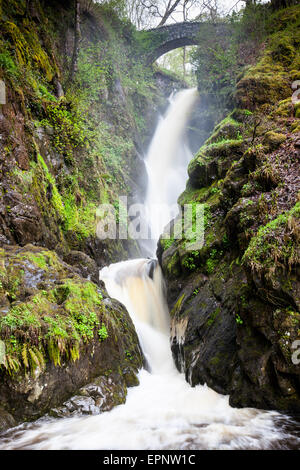 Aira Beck plummets over Aira Force, near Ullswater, Lake District, Cumbria Stock Photo