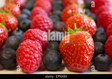 Lines of fruit arranges in columns Stock Photo: 82845529 - Alamy