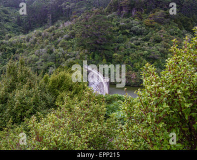 Wall of the disused reservoir at Zealandia and the native bush of the Karori Wildlife Sanctuary near Wellington New Zealand Stock Photo