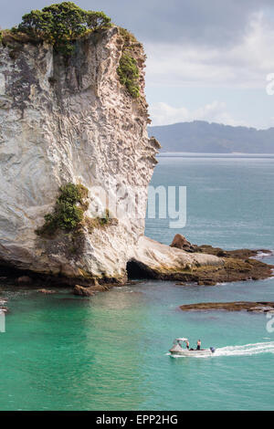 A small boat approaching Stingray Bay near Cathedral Cove on the Coromandel Peninsula of North Island New Zealand Stock Photo