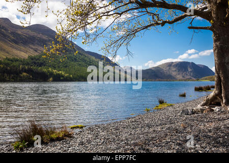 Red Pike and Mellbreak seen from the shores of Buttermere, Lake District, Cumbria Stock Photo