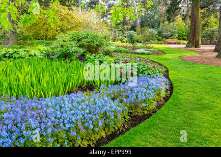 Beautiful, botanic garden in Spring. Beautiful Corydalis Flexuosa in full bloom, Stock Photo