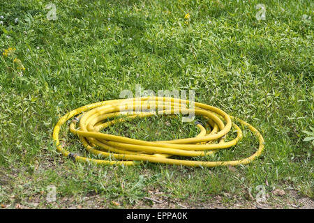 Yellow garden hose rolled on green grass. Stock Photo