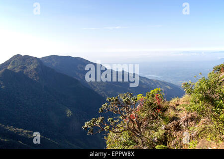 World's End cliff at Horton Plains national park, Sri Lanka, Asia Stock Photo