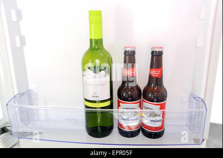 Two small bottles of Budweiser beer sitting in a fridge keeping cool with a bottle of white Rioja wine Stock Photo