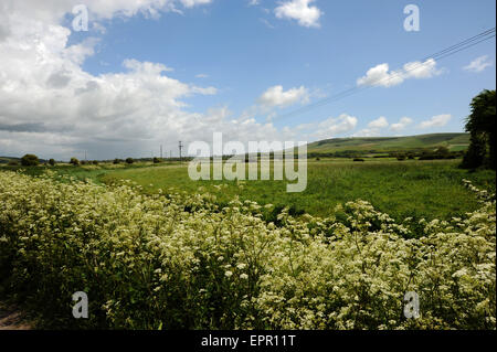 View across the meadows at Rodmell towards the River Ouse near Lewes East Sussex UK Stock Photo