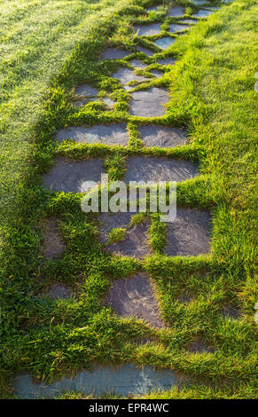 An old flagstone walkway with grass growing between the stones. Stock Photo