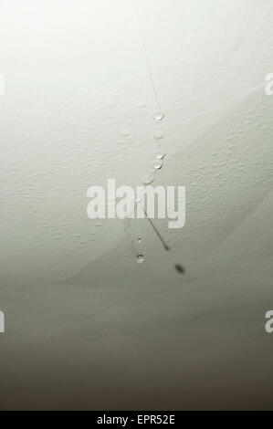 water spot on ceiling after heavy rain