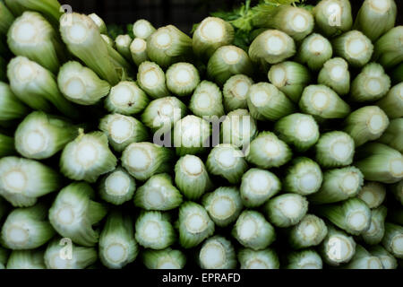 Green celeries Stock Photo