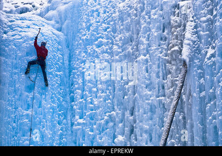 A lead ice climber reaches the top of a climb in Kootenay National Park, British Columbia. Stock Photo