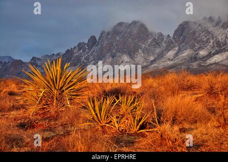 Sunrise over the Organ Mountains Desert Peaks National Monument near Las Cruces, New Mexico. Stock Photo