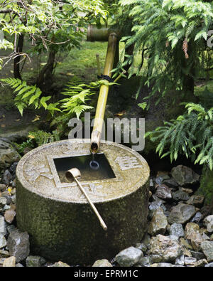 Ryoan-ji's tsukuba, a small basin provided at Japanese Buddhist temples for visitors to purify themselves by the ritual washing of hands and rinsing of the mouth. Kyoto, Japan. Stock Photo