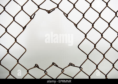 Hole in chain link fence. Stock Photo
