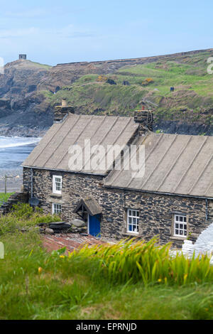 Coastal cottages at Abereiddy, Pembrokeshire Coast National Park, Wales UK in May - Abereiddi Stock Photo