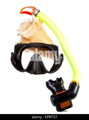 Tube for diving (snorkel), big sea shell and mask Stock Photo