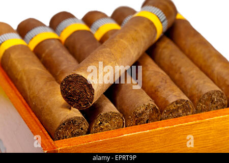 The Cuban cigars, hand made Stock Photo