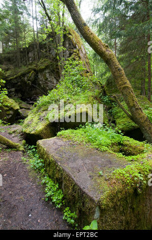 Guest bunker in Wolfsschanze, Hitler's Wolf's Lair Eastern Front military headquarters, eastern Poland Stock Photo