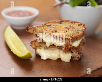 Grilled Brie Cheese Sandwich with Ketchup, Pickle and Salad, Studio Shot Stock Photo