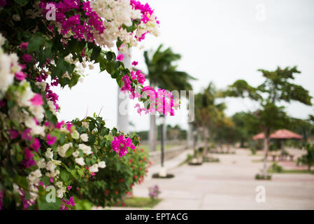 GRANADA, Nicaragua — The lakefront along Lago Nicaragua next to Granada. Stock Photo