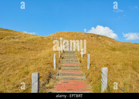 Stairs to Viewpoint in the Dunes, Summer, Norderney, East Frisia Island, North Sea, Lower Saxony, Germany
