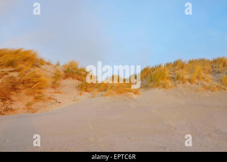 Sand Dunes, Helgoland, Dune, North Sea, Island, Schleswig Holstein, Germany Stock Photo