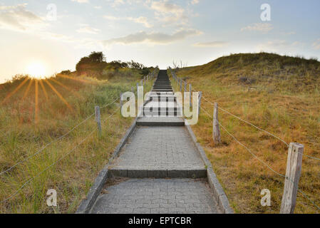 Stairs to Viewpoint in the Dunes, Summer, Norderney, East Frisia Island, North Sea, Lower Saxony, Germany Stock Photo