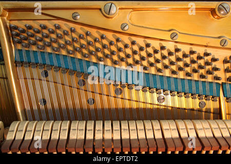 the strings, hammers, tuning pins and soundboard inside a Bechstein upright piano Stock Photo