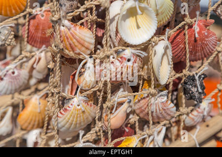 Close-up of a fishing net decorated with seashells at a souvenir stall on the seafront of Brighton, East Sussex, England, UK. Stock Photo