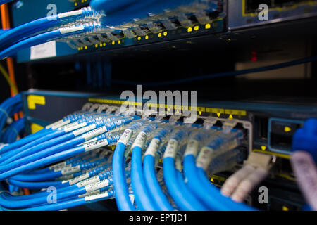 Lights and connections on network server Stock Photo