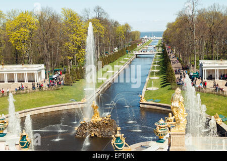 Samson Fountain in Grand Peterhof palace, Grand Canal Stock Photo