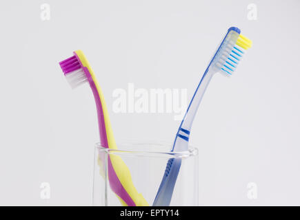 big and small toothbrushes in a glass photographed on a white background Stock Photo