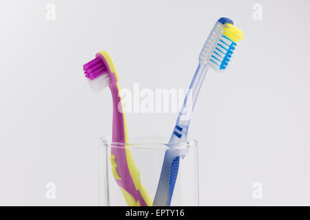 big and small toothbrushes in a glass photographed on a white background Stock Photo