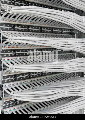 kind of wiring closet patch panels with 6-th category in the background Stock Photo