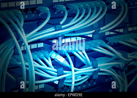 Network server rack with patch panel and ethernet cables for data ...