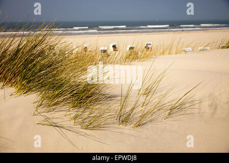 dunes and the main beach, East Frisian Island Spiekeroog, Lower Saxony, Germany Stock Photo
