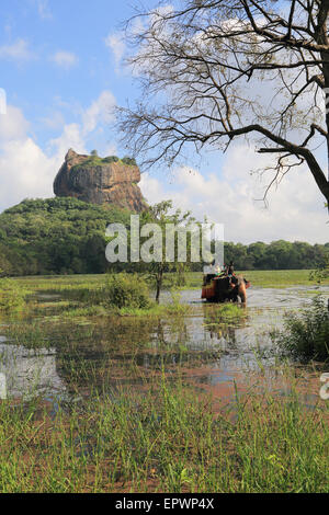Elephant ride in lake by rock palace, Sigiriya, Central Province, Sri Lanka, Asia Stock Photo