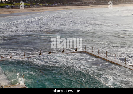Icebergs swimming pool at Bondi beach in Sydney Stock Photo