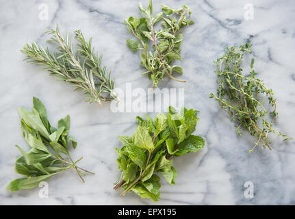 Bunches of various herbs on marble background Stock Photo