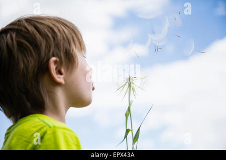 Boy (6-7) blowing dandelion Stock Photo