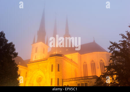 Luxembourg, Luxembourg City, View of Notre Dame Cathedral in fog Stock Photo