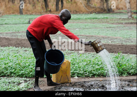 SOUTH-SUDAN Rumbek , village, Colocok,  Dinka man fetch water from well for irrigation of vegetable fields Stock Photo