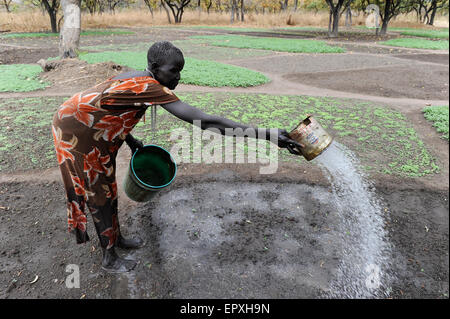 SOUTH-SUDAN Rumbek , village, Colocok,  Dinka women fetch water from well for irrigation of vegetable fields Stock Photo