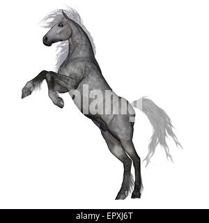 White horse rearing isolated in white background - 3D render Stock Photo